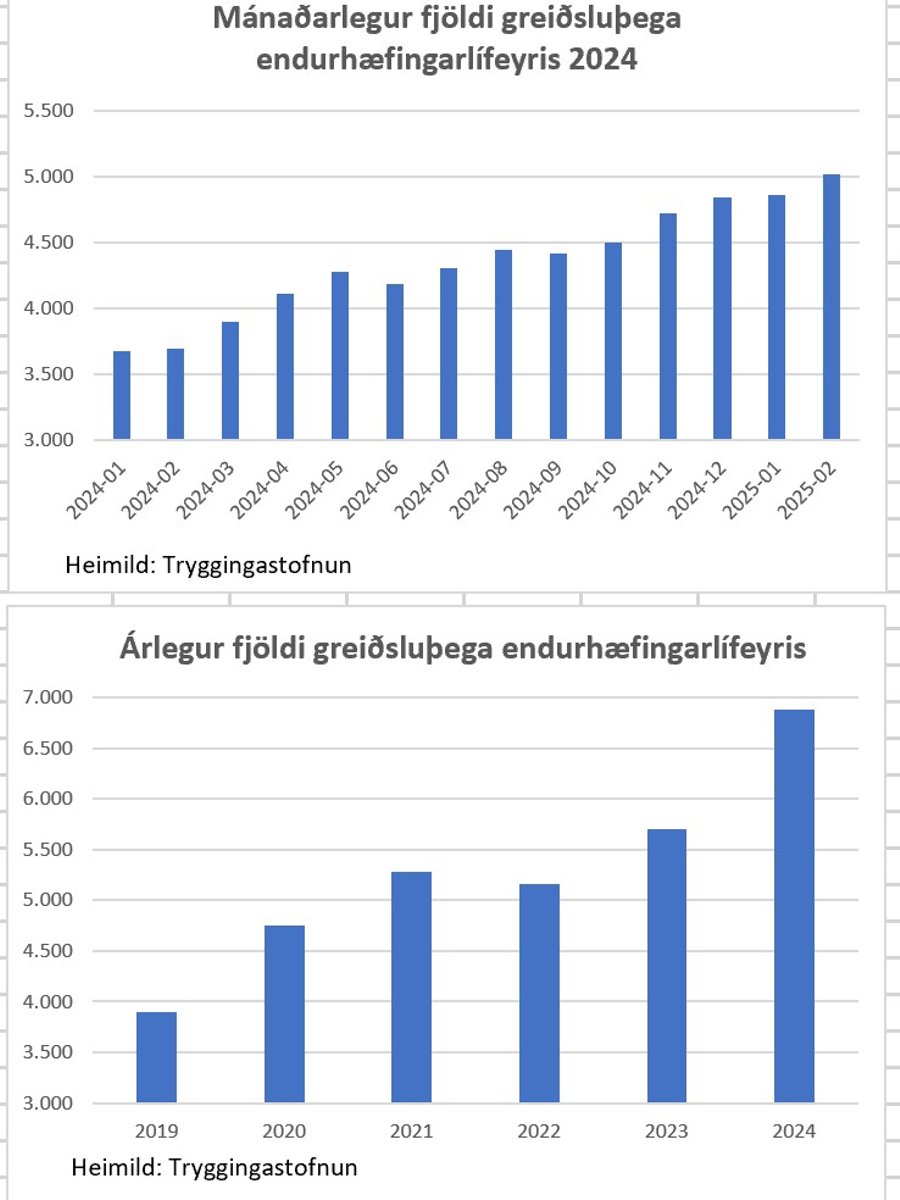 Greisluegar endurhfingarlfeyris 2024